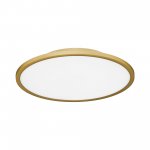 SLE1811-202-01 Светильник потолочный Золотистый/белая LED 1*42W 4000K TASSEN