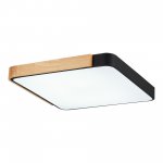 Светильник потолочный St luce SLE201242-01 FESTA