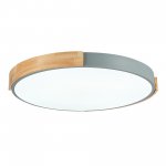 Светильник потолочный St luce SLE201372-01 DELIA
