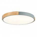 Светильник потолочный St luce SLE201372-01 DELIA