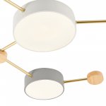 Светильник потолочный St luce SLE600102-06 DOSSENA