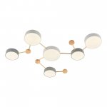 Светильник потолочный St luce SLE600102-06 DOSSENA