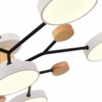 Светильник потолочный St luce SLE6006-502-06 FAEMA