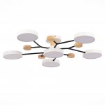 Светильник потолочный St luce SLE6006-502-06 FAEMA