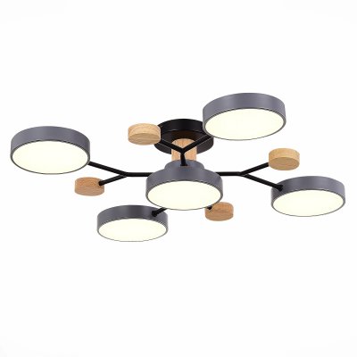 Светильник потолочный St luce SLE6006-702-05 FAEMA Светильник потолочный St luce SLE6006-702-05 FAEMA