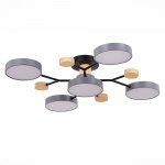 Светильник потолочный St luce SLE6006-702-05 FAEMA
