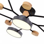 Светильник потолочный St luce SLE6006-702-06 FAEMA