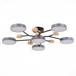 Светильник потолочный St luce SLE6006-702-06 FAEMA