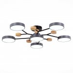 Светильник потолочный St luce SLE6006-702-06 FAEMA