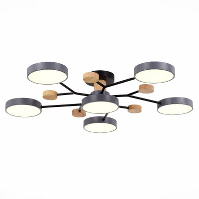 Светильник потолочный St luce SLE6006-702-06 FAEMA Светильник потолочный St luce SLE6006-702-06 FAEMA