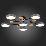 Светильник потолочный St luce SLE6006-702-06 FAEMA