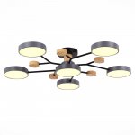 Светильник потолочный St luce SLE6006-702-06 FAEMA