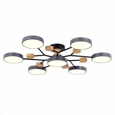 Светильник потолочный St luce SLE6006-702-07 FAEMA Светильник потолочный St luce SLE6006-702-07 FAEMA