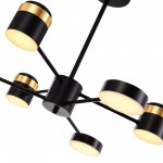 Светильник потолочный St luce SLE6007-402-06 TEZZE