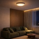 Светильник  светодиодный St luce SLE6009-502-01 CROSBY