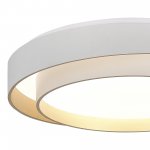 Светильник  светодиодный St luce SLE6009-502-01 CROSBY