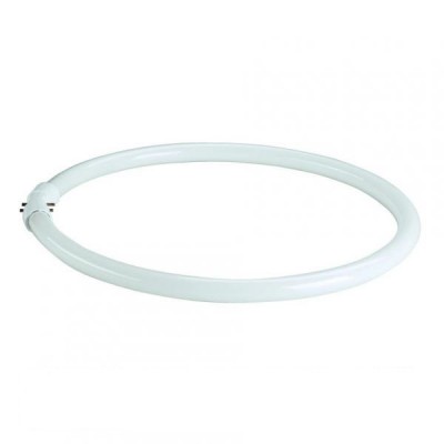 SLV 548240 T5-Ringform Leuchtstofflampe, 40W, 3000K SLV 548240 T5-Ringform Leuchtstofflampe, 40W, 3000K