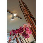 1000408 SLV 3Ph, LYNAH DOUBLE светильник c LED 32Вт, 3000К, 2000лм, 24°, черный