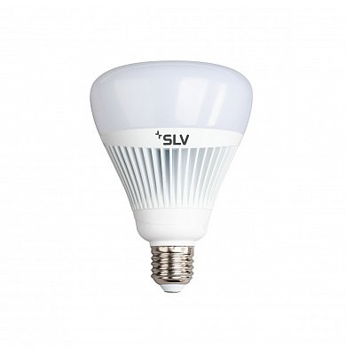 SLV 1002519 SLV PLAY, LED G110 E27 источник света, 2700-6500K, 1055лм