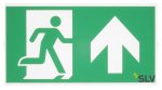 SLV 240008 P-LIGHT Emergency Series Stair Signs for Exit Wall, Ceiling, Pendant, big, green