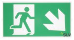 SLV 240008 P-LIGHT Emergency Series Stair Signs for Exit Wall, Ceiling, Pendant, big, green