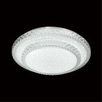 2041/DLN PALE SN 197 Светильник пластик/белый/прозрачный LED 48Вт 3000/4000/6000K D350 IP43 CCT FLOORS
