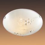 Настенно-потолочный светильник Сонекс 204 хром/белый/декор прозрачн TRAUBE