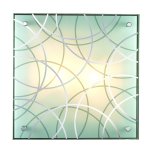 Сонекс OMAKA 2204 настенно-потолочный светильник