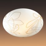 Настенно-потолочный светильник Сонекс 242 золото/декор коричн/янтарн MORTIA