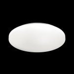 3017/DLN PALE SN 218 Светильник пластик/белый LED 48Вт 3000/4000/6000К D400 IP43 CCT SIMPLE