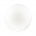 3017/DLN PALE SN 218 Светильник пластик/белый LED 48Вт 3000/4000/6000К D400 IP43 CCT SIMPLE