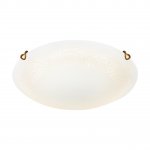 Светильник настенно-потолочный Sonex 7602/DL Bambook