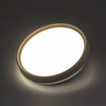 7603/CLN PALE SN 175 Светильник пластик/белый/светл.коричневый под дер. LED 36Вт 4000К D330 IP43 WOODI
