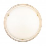 Светильник настенно-потолочный Sonex 7605/DL Border