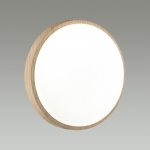 Светильник настенно-потолочный Sonex 7607/CL Cube