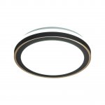 Настенно - потолочный светильник Sonex 7620/DL GLASSI