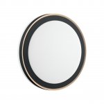 Настенно - потолочный светильник Sonex 7620/DL GLASSI