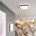 Настенно - потолочный светильник Sonex 7621/DL NAPOLI