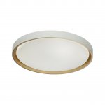 Настенно - потолочный светильник Sonex 7645/DL GL-WOOD