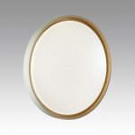 7645/ELN COLOR SN 158 Светильник пластик/белый/оранжевый LED 76Вт 3000/4000/6000К D520 IP43 CCT KISIL