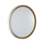 Настенно - потолочный светильник Sonex 7645/EL GRECA