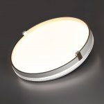 7646/DLN PALE SN 189 Светильник пластик/белый/золотой LED 48Вт 3000/4000/6000К D390 IP43 CCT OLIDI WHITE