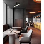 Светильник Sonex 7656/48L Lufe Wood 1