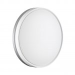 Светильник настенно-потолочный Sonex 7670/EL Riga