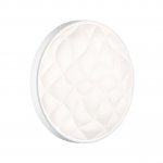 Светильник настенно-потолочный Sonex 7672/DL Riga