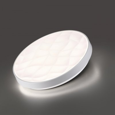 7672/ELN PALE SN 204 Светильник пластик/белый LED 76Вт 3000/4000/6000К D485 IP43 CCT GITUM 7672/ELN PALE SN 204 Светильник пластик/белый LED 76Вт 3000/4000/6000К D485 IP43 CCT GITUM