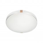 Светильник настенно-потолочный Sonex 7676/DL Riga