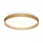 Светильник настенно-потолочный Sonex 7684/DL Sakura