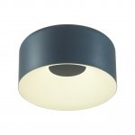 Светильник настенно-потолочный Sonex 7689/26L Sole