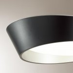 Светильник настенно-потолочный Sonex 7694/60L Trial